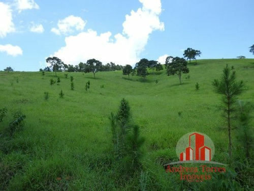 Imagem 21 de 30 de Sítio Sítio À Venda Em Taubaté/sp - 1386