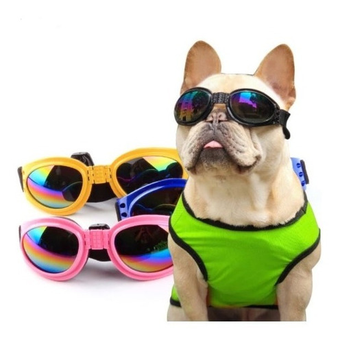 Gafas Mascotas Para Perros Protec - Unidad a $44900
