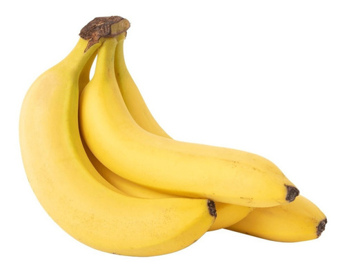 Kit 10 Mudas De Banana Brs Princesa Embrapa Pronto Envio