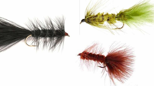 Moscas Para Trucha - 6 X Woolly Bugger - Value Pack