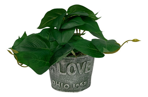 Arranjo De Flor Decorativa Jiboia 19x09cm - Vencedor
