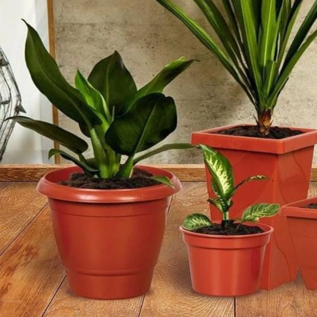 Terceira imagem para pesquisa de vasos grandes para plantas em area externa