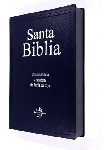 Santa Biblia Reina Valera1960 Letra Gigante Vinil Azul