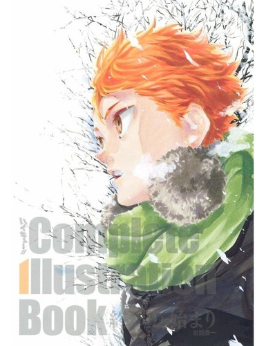 Artbook Haikyuu!! Complete Illustration Book Libro Arte