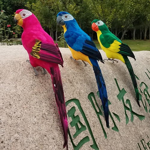 Pájaro Loro Modelo Simulación Loro Pluma Loro Guacamayo