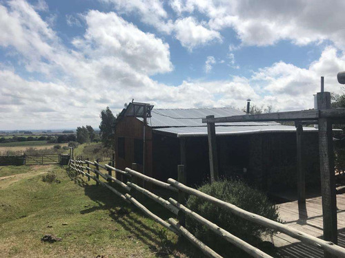 Campo 40 Hectáreas En Poblado Colón, Lavalleja