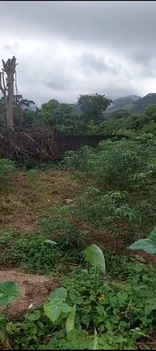 Terreno Plano, Pronto Para Construir!