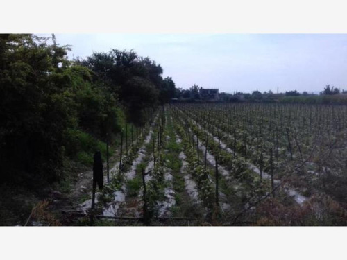Imagen 2 de 10 de Venta Terreno Cuautlixco