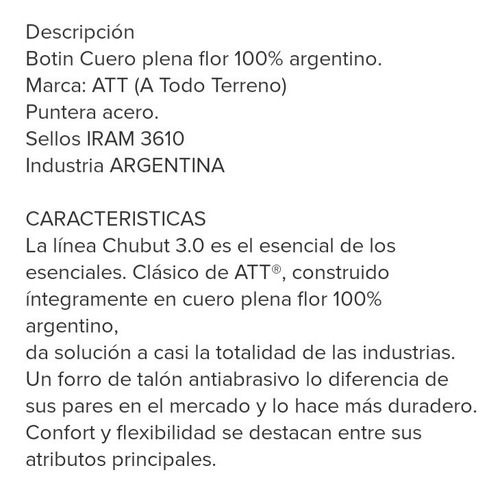 Calzado Zapato Att Chubut Talle 41 Seguridad Iram