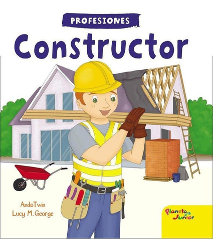 Profesiones - Constructor