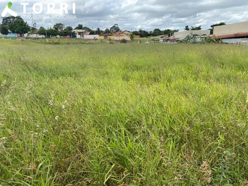 Imagem 4 de 13 de Terreno À Venda Na Vila São João Em Sarapuí - Te00775 - 69495610