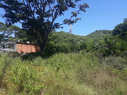 Imagen 4 de 7 de Terreno En La Fuente A Pie De Montaña