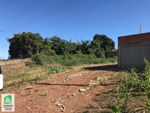 Imagem 1 de 1 de Venda Terreno Com Área De 200 Mts² Frente Para Av Do Daia Go 330 - 4654