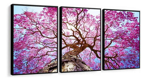 Kit Quadros Decorativos Arvore Ipê Rosa Paisagem Com Moldura