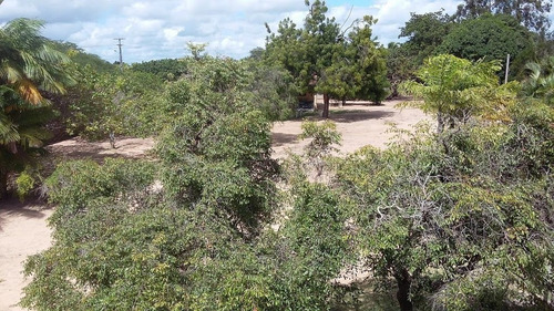 Imagem 22 de 30 de Chácara À Venda, 15120 M² Por R$ 950.000,00 - Sao Jose De Mipibu - São José De Mipibu/rn - Ch0012