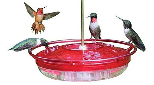 Cole's Hh03 Hummer High Rise Hummingbird Feeder