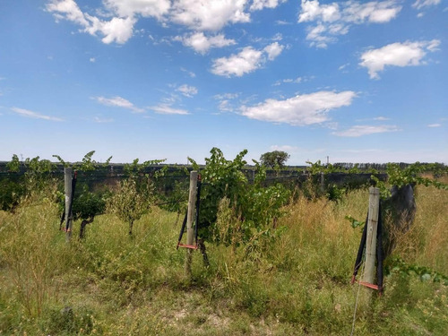 Quinta En Venta - 4 Dormitorios 2 Baños - Cochera - 150.000mts2 - San Rafael