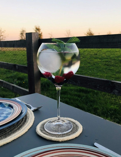 Copón Gin Tonic Cristal Bohemia Original 650ml Setx6 Sophia