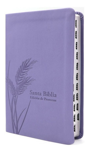Biblia De Promesa Letra Grande Reina Valera 1960 Lila
