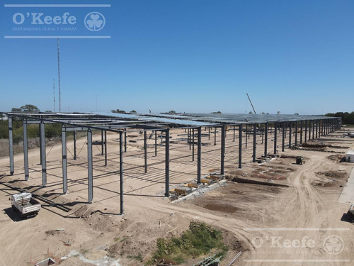 Imagen 7 de 18 de Depositos - Galpones Aaa En Alquiler Modulos De 1.100 M2 - Rotonda Gutierrez - Florencio Varela