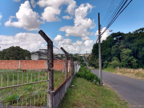 Imagem 5 de 7 de Terreno - Mina Do Mato - Ref: 30647 - V-30645