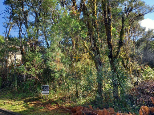 Imagem 3 de 6 de Terreno No Loteamento Vivendas Do Arvoredo - 1056