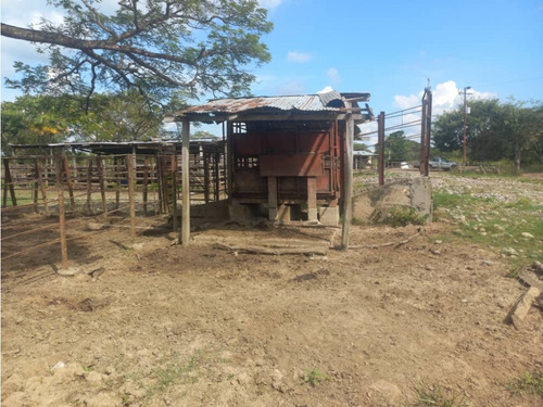 Finca Caserio Palmar De Morrones Ve32-017cr-gmon