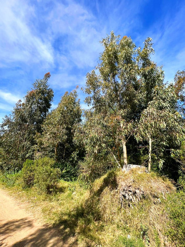 Imagen 5 de 13 de Terreno Esquina Venta Costa Azul Canelones