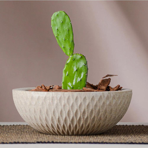 Vaso Bacia Polietileno Sicília Bege 12cm Afort