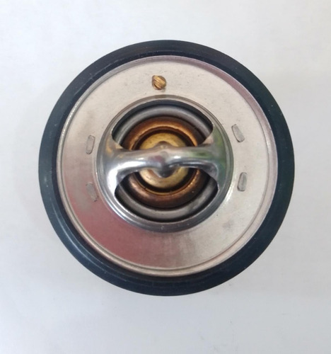 Termostato Workhorse Fastrack Ft1802 5.7l 8 Cil 2003 90°
