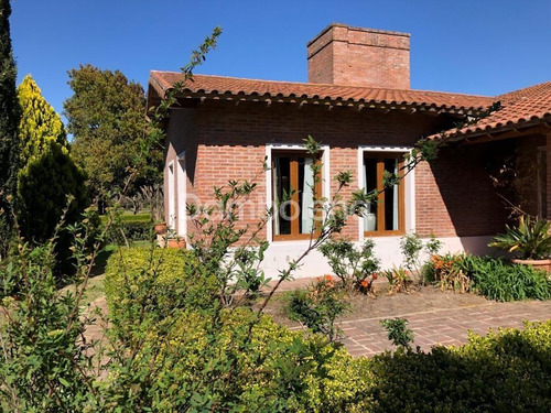 Imagen 18 de 30 de Terreno Campo En Venta En Carmen De Areco, Resto De La Provincia, Buenos Aires