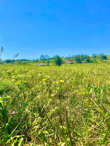 Imagem 5 de 5 de W30-lotes Para Construção De Sítios