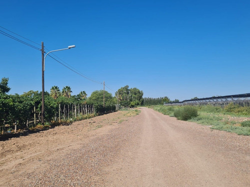 Imagen 5 de 9 de 6,1 Ha Parrales Colonia Segovia