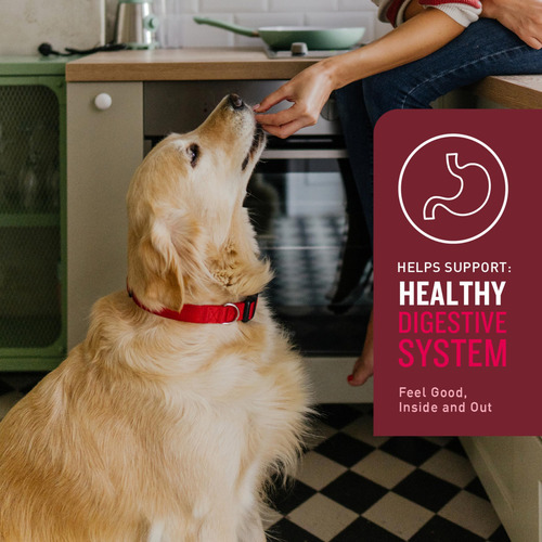 Vetiq Multi Vitamin Supplement For Dogs, Hickory Smoke Flavo