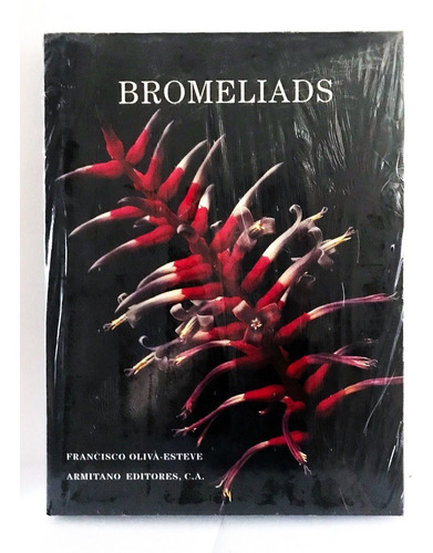 Bromeliads  - Armitano