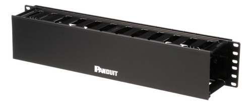 Organizador Cables Panduit Wmpf1e Horizontal 2u Frente/dorso