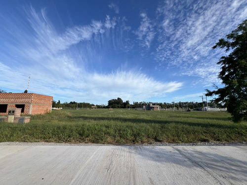 Lote Central En Las Tinajas