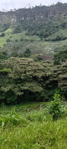 Finca Agricola Y Descanso