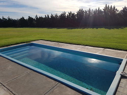 Imagen 4 de 29 de Venta Prop Con Amplio Lote Barrio Villa Belgrano