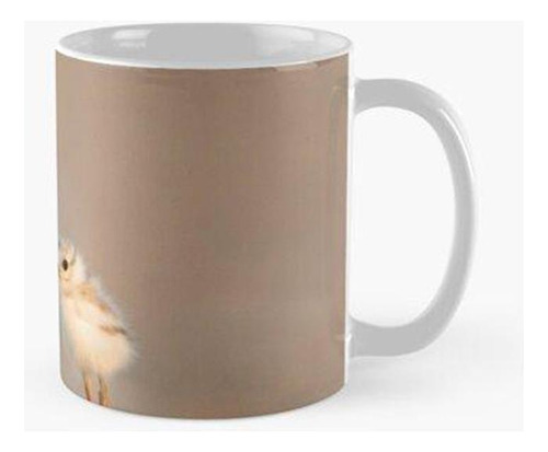 Taza Animales Pájaros Hermosa Hermosa Soporte Pollito Calida