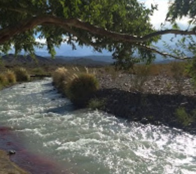 Imagen 4 de 5 de 100 Has. En El Barrialito, Calingasta