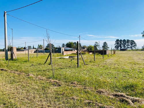 Vendo Lotes En Andino Arboles Añejos Ideal Para Turistas