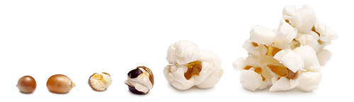Condimento Para Palomitas Cheddar Blanco 100 Ml