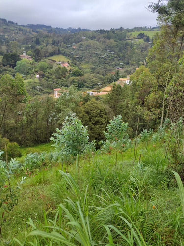 Venta De Lote Guarne, Cerca A Zona Urbana 