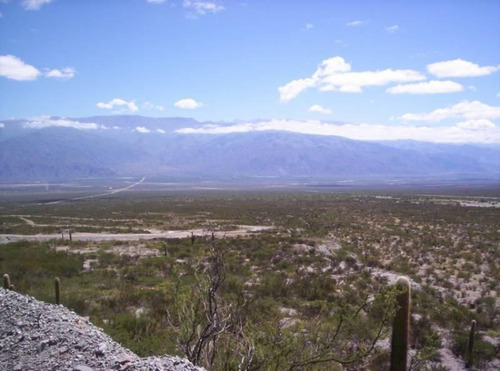 Imagen 3 de 10 de Campo Apto Para Viñedo En Venta - Tolombón, Salta