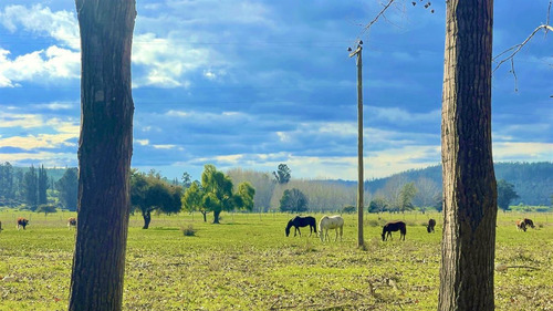 Parcelas En Vichuquén Al Lado De Laguna Torca Y Playa Llico