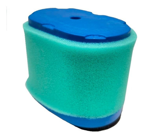Filtro De Aire 697029 Briggs & Stratton 690610 498596