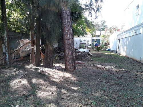 Imagem 11 de 17 de Terreno Granja Julieta? Ao Lado Do Parque Severo Gomes - Reo213015