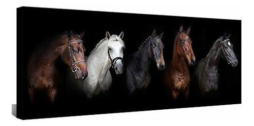 Cuadro Caballo Negro Y Blanco 20 X48 