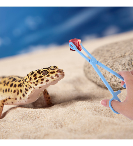 Nuevo Pinzas Para Alimentar Serpientes Y Reptiles, 2